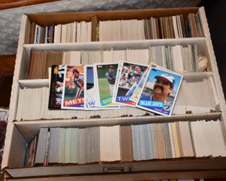 0015Some Highlights Carol Stream Estate Sale