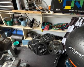 Various weights and workout bands