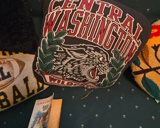 Vintage Central sweatshirt pillow