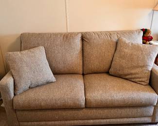 Sleeper Sofa