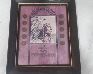 Vin Vintage American Indian Coins