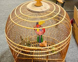 Bird Cage