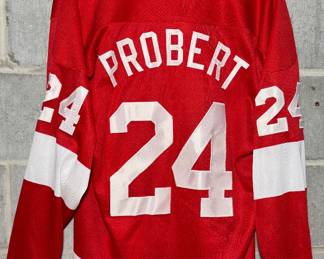 Redwings Jersey