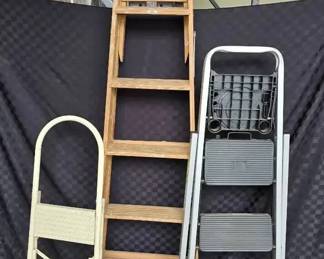 CT203Ladder and step stools
