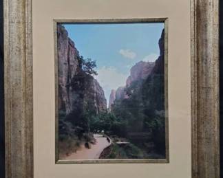 CT182Framed Photo Of Zion National Park 