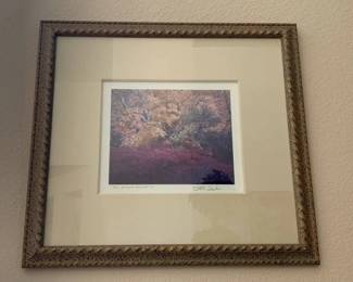 MO226VRFall At Indian Gardens II, Framed Photo