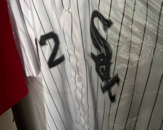 Carlton Fisk Jersey 
$150