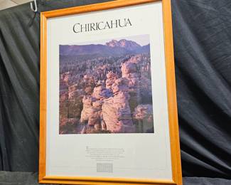 Chiricahua SW Parks & Monuments Assoc. Poster