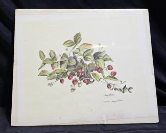 Signed L.E. "Strawberries" Print by Perry Winkler