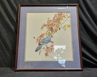 Framed Limited Edition Blue Jay Print by J. Mizell