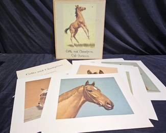 Portfolio of Colts & Champions by CW Anderson