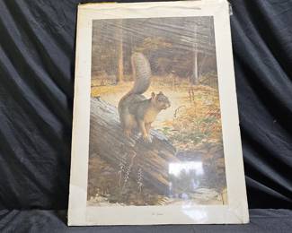 Ray Harm Limited Edition "Fox Squirrel" Print