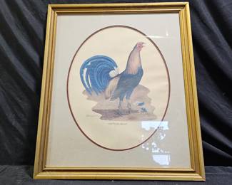SC Gamecock Print by E. Dudley Wiliams