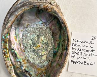 #59 Natural Avalon iridescent shell/mother of pearl approximately 8 x 6” $ 20.00
