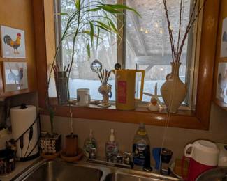 plants, kitchen