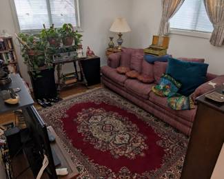 couch, antique table, plants, tv, dvd, cd