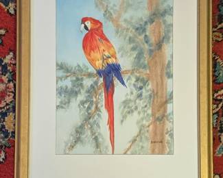 Watercolor Painting of a Scarlet Macaw by Deborah