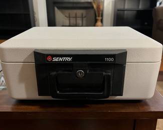 SentrySafe 1100 Fireproof & Waterproof Safe