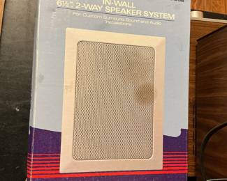 In wall speakers 
