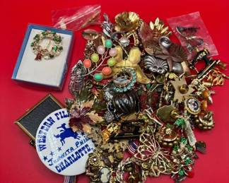 Mystery Lot Of Brooches And Pins