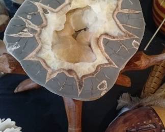 Dragon Stone, are fascinating rocks existing between the mineral and fossil worlds