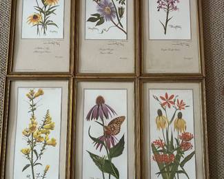 SIGNED RAY HARM SET OF 6