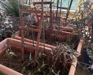 Outdoor potted plants