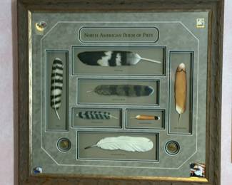 cIJ4VQiqIyA hNCC8MbG42 Q