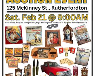 Dynamic Newspaper Auction Ad with Auctioneer