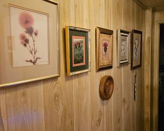 Thistle pictures everywhere