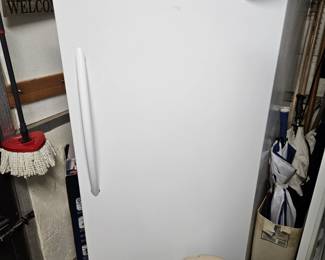 Stand up freezer
