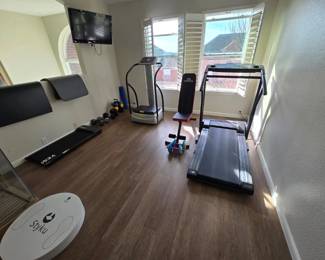 ProForm, Zaaz, Yemso sports equipment, Styku 3D body scanner