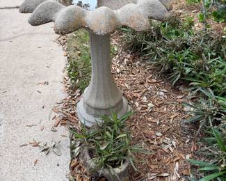 Concrete Bird Bath