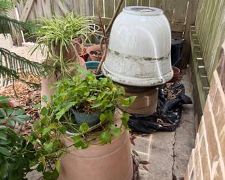 Plants and Pots