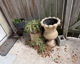 Plants and Plant Pots