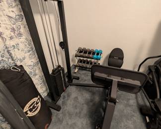 Weights, workout, exercise, Body Solid PRO Select