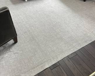 10x24 Ruggable rug