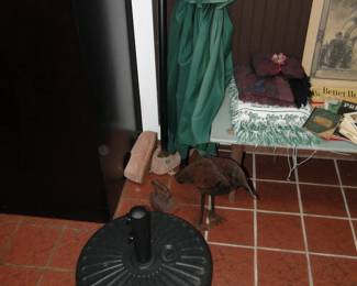 Umbrella stand/umbrells