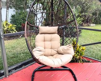 $100 - Egg Chair