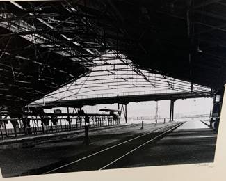Union Station train shed photo