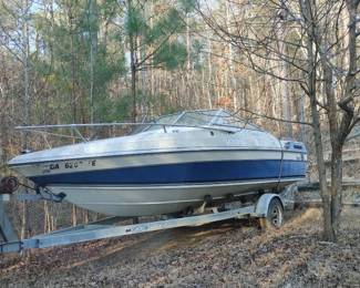 Wellcraft boat & trailer