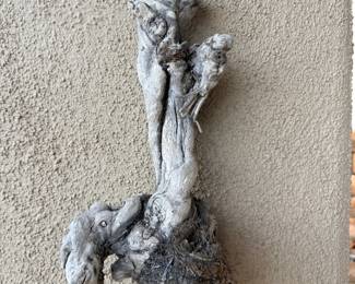 driftwood with bird nest