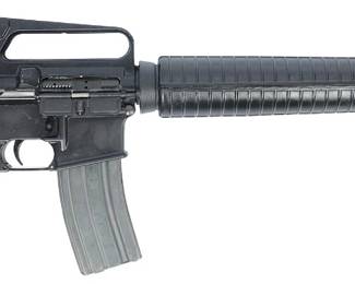 Bushmaster AR15 Rifle