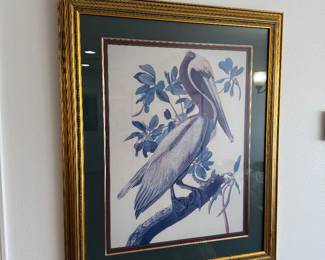 Framed pelican print