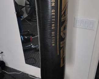 Muy Thai training bag, used