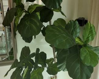 Artificial plant, very realistic, aprox 8 ft tall