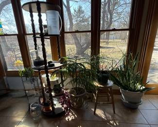 Plants, plant stands