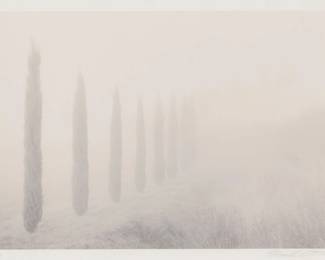 2384 Mark Citret (b. 1949) "Cypresses, Tuscany," 1998 Photograph on paper Edition: 1/45 Signed, titled, and numbered in pencil in the lower margin: Mark Citret / 1998 Image: 6" H x 8.5" W; Sight: 6.5" H x 9" W Estimate: $200 - $300