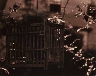 2393 Jose Alemany (1895-1951) "Cage," 1938 Photograph on paper Appears unsigned; titled and dated by repute Sight: 7.875" H x 9.625" W Estimate: $500 - $700