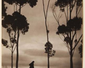 2339 Karl Struss 1886-1981 "Storm Clouds, La Mesa, California," 1921, from "Karl Struss: A Portfolio," 1909-29 Platinum print on paper, watermark Crane, hinged to an embossed board mount, as issued Edition: 65/75 (there were also 15 artist's proofs), printed in 1979 Signed in pencil on the verso: Karl Struss; numbered in pencil in another hand on the mount, directly below the image, at left; Phil Davis, prtr.; Photofolio of Ann Arbor, MI, pub. Image/Sheet: 4.375" H x 3.625" W; Board Mount: 10.75" H x 7.25" W Estimate: $200 - $300
